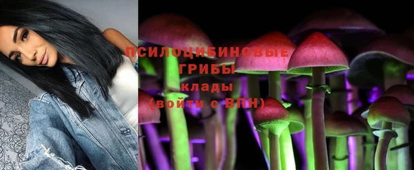 круглые Осинники