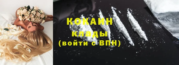 сатива Осташков