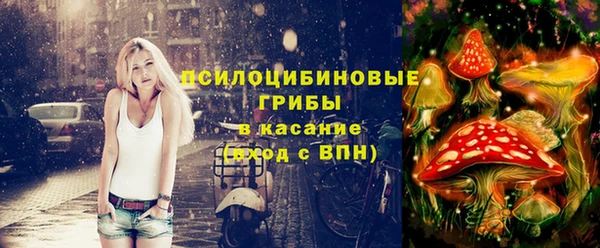 круглые Осинники