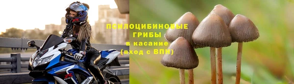 сатива Осташков