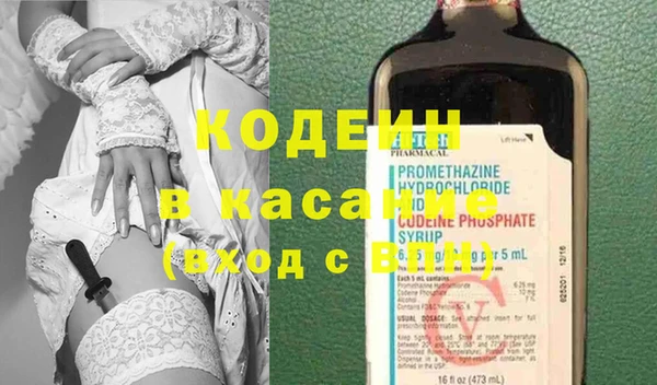 сатива Осташков