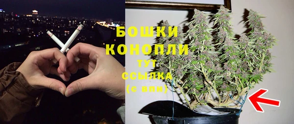 сатива Осташков