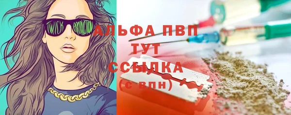сатива Осташков