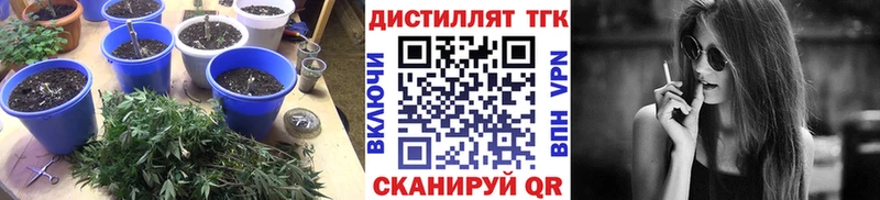 ТГК THC oil  Купить  Шумерля 