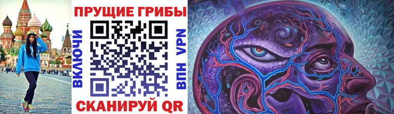 Купить  Шумерля  Галлюциногенные грибы Psilocybine cubensis 